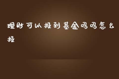 理财可以投到基金吗吗怎么投_https://www.fsyjjx.cn_理财资讯_第1张