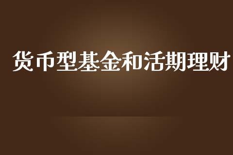 货币型基金和活期理财_https://www.fsyjjx.cn_问财精选_第1张