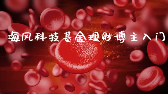 海风科技基金理财博主入门_https://www.fsyjjx.cn_问财精选_第1张