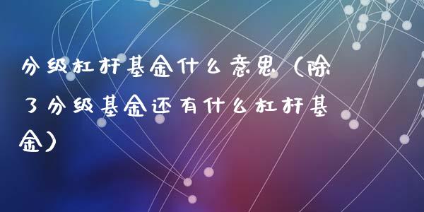 分级杠杆基金什么意思（除了分级基金还有什么杠杆基金）_https://www.fsyjjx.cn_问财精选_第1张