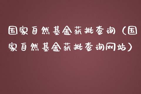 国家自然基金获批查询（国家自然基金获批查询网站）_https://www.fsyjjx.cn_理财资讯_第1张