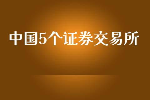 中国5个证券交易所_https://www.fsyjjx.cn_期货资讯_第1张