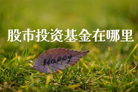 股市投资基金在哪里_https://www.fsyjjx.cn_理财资讯_第1张