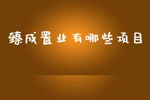 臻成置业有哪些项目_https://www.fsyjjx.cn_股指期货_第1张
