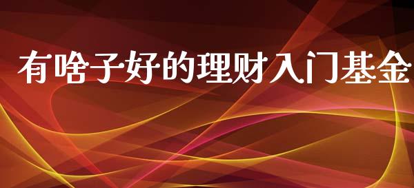 有啥子好的理财入门基金_https://www.fsyjjx.cn_问财精选_第1张