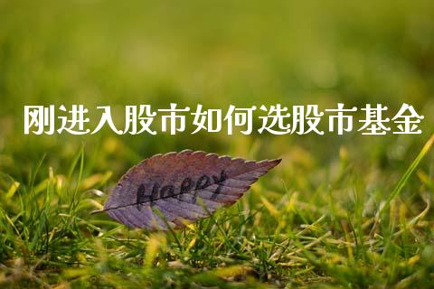 刚进入股市如何选股市基金_https://www.fsyjjx.cn_理财资讯_第1张