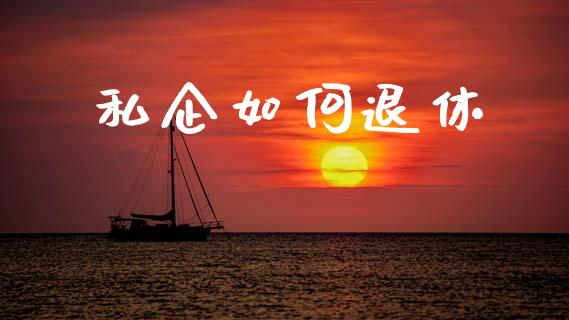 私企如何退休_https://www.fsyjjx.cn_期货研报_第1张