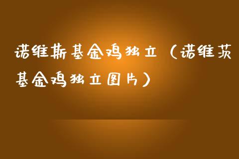 诺维斯基金鸡独立（诺维茨基金鸡独立图片）_https://www.fsyjjx.cn_理财资讯_第1张
