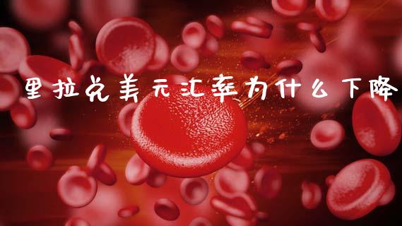 里拉兑美元汇率为什么下降_https://www.fsyjjx.cn_理财资讯_第1张