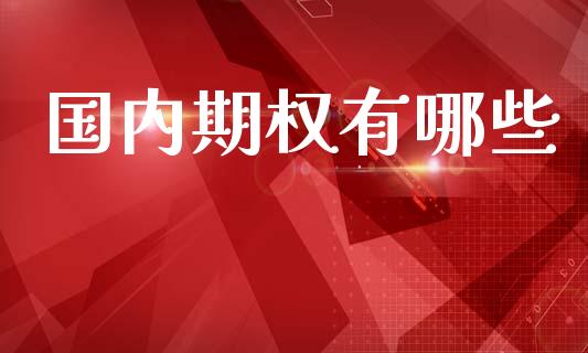 国内期权有哪些_https://www.fsyjjx.cn_期货资讯_第1张