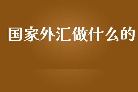 国家外汇做什么的_https://www.fsyjjx.cn_理财资讯_第1张