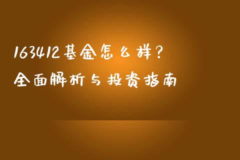 163412基金怎么样？全面解析与投资指南_https://www.fsyjjx.cn_期货在线_第1张