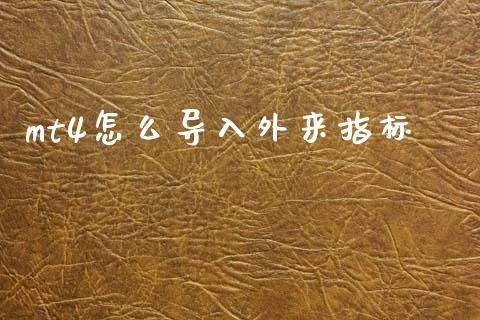 mt4怎么导入外来指标_https://www.fsyjjx.cn_股票指导_第1张
