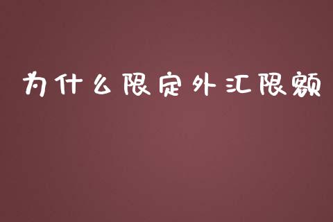 为什么限定外汇限额_https://www.fsyjjx.cn_期货研报_第1张
