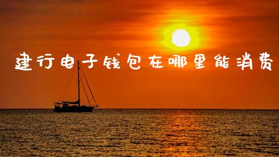 建行电子钱包在哪里能消费_https://www.fsyjjx.cn_股市分析_第1张