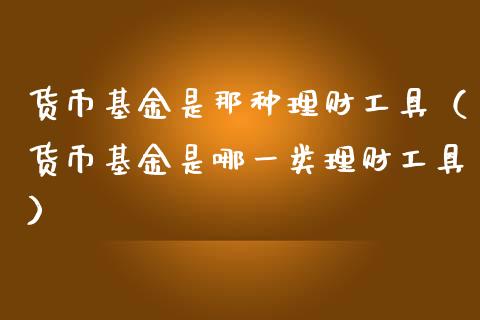 货币基金是那种理财工具（货币基金是哪一类理财工具）_https://www.fsyjjx.cn_问财精选_第1张