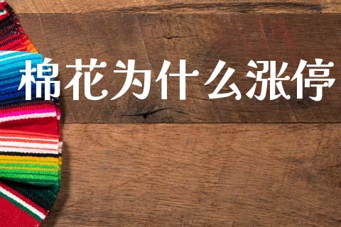 棉花为什么涨停_https://www.fsyjjx.cn_期货研报_第1张
