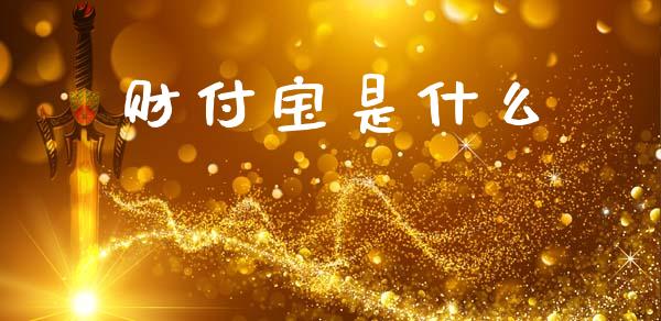 财付宝是什么_https://www.fsyjjx.cn_期货资讯_第1张