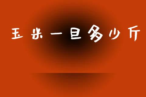 玉米一旦多少斤_https://www.fsyjjx.cn_期货研报_第1张
