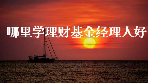 哪里学理财基金经理人好_https://www.fsyjjx.cn_理财资讯_第1张