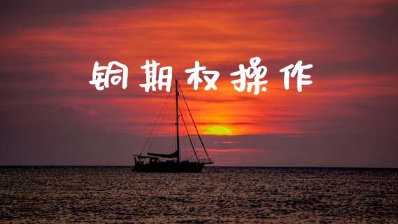 铜期权操作_https://www.fsyjjx.cn_股票指导_第1张