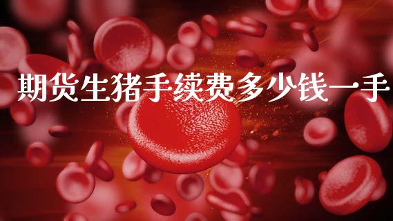 期货生猪手续费多少钱一手_https://www.fsyjjx.cn_期货资讯_第1张