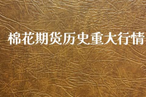 棉花期货历史重大行情_https://www.fsyjjx.cn_期货研报_第1张