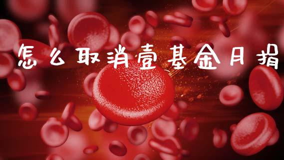 怎么取消壹基金月捐_https://www.fsyjjx.cn_股指期货_第1张