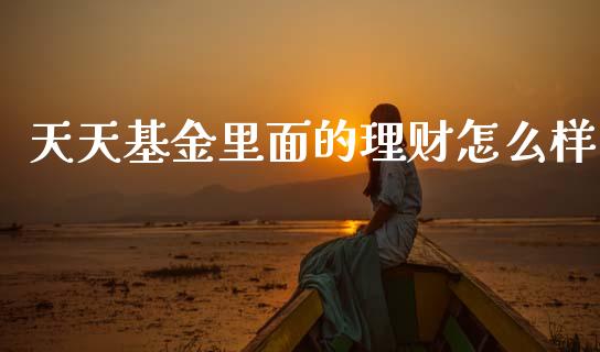 天天基金里面的理财怎么样_https://www.fsyjjx.cn_理财资讯_第1张