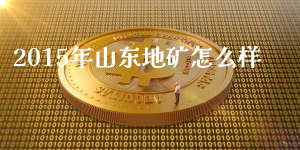 2015年山东地矿怎么样_https://www.fsyjjx.cn_股市分析_第1张