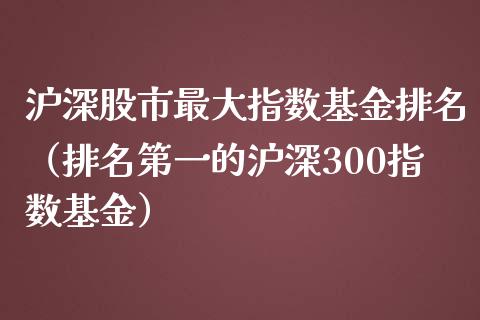 沪深股市最大指数基金排名（排名第一的沪深300指数基金）_https://www.fsyjjx.cn_问财精选_第1张