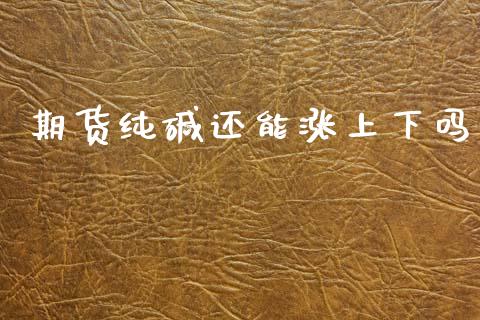 期货纯碱还能涨上下吗_https://www.fsyjjx.cn_期货研报_第1张