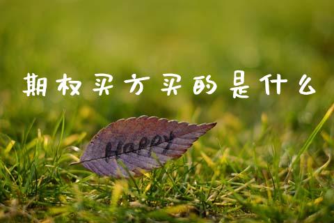 期权买方买的是什么_https://www.fsyjjx.cn_期货资讯_第1张