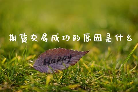 期货交易成功的原因是什么_https://www.fsyjjx.cn_问财精选_第1张