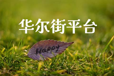 华尔街平台_https://www.fsyjjx.cn_期货研报_第1张