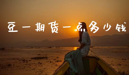 豆一期货一点多少钱_https://www.fsyjjx.cn_股票指导_第1张