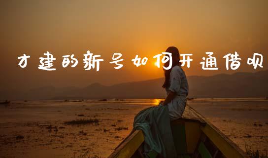 才建的新号如何开通借呗_https://www.fsyjjx.cn_理财资讯_第1张