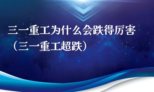 三一重工为什么会跌得厉害（三一重工超跌）_https://www.fsyjjx.cn_股指期货_第1张