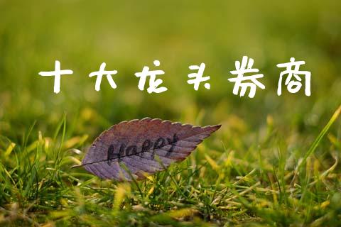 十大龙头券商_https://www.fsyjjx.cn_期货资讯_第1张