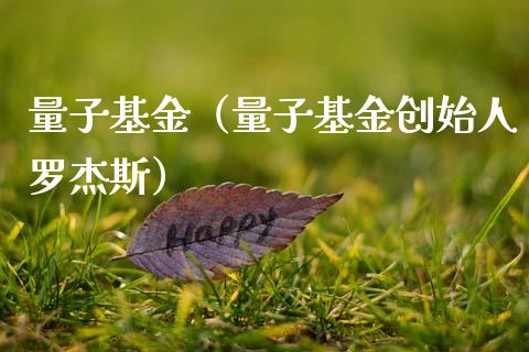 量子基金（量子基金创始人罗杰斯）_https://www.fsyjjx.cn_理财资讯_第1张