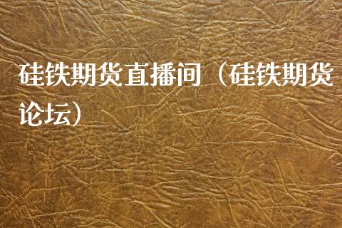 硅铁期货直播间（硅铁期货论坛）_https://www.fsyjjx.cn_期货在线_第1张