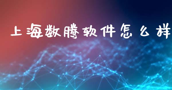 上海数腾软件怎么样_https://www.fsyjjx.cn_股票指导_第1张
