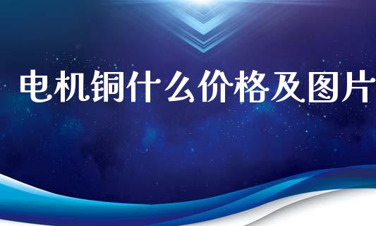 电机铜什么价格及图片_https://www.fsyjjx.cn_理财资讯_第1张