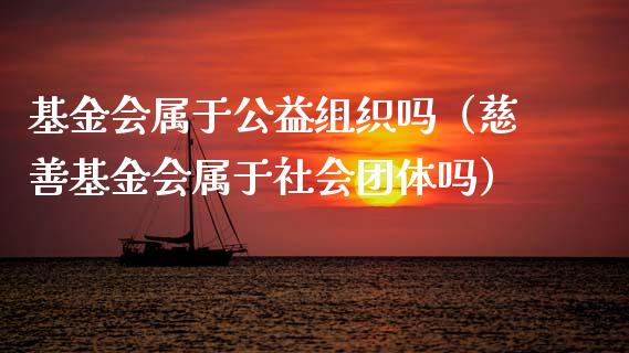 基金会属于公益组织吗（慈善基金会属于社会团体吗）_https://www.fsyjjx.cn_理财资讯_第1张