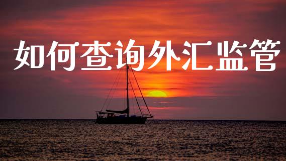 如何查询外汇监管_https://www.fsyjjx.cn_股票指导_第1张