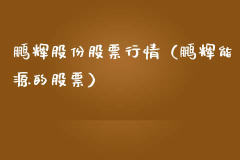 鹏辉股份股票行情（鹏辉能源的股票）_https://www.fsyjjx.cn_股市分析_第1张