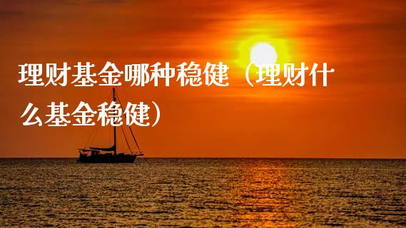 理财基金哪种稳健（理财什么基金稳健）_https://www.fsyjjx.cn_问财精选_第1张