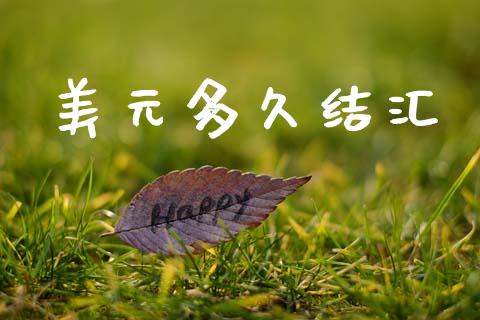 美元多久结汇_https://www.fsyjjx.cn_股市分析_第1张