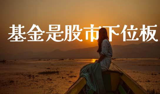 基金是股市下位板_https://www.fsyjjx.cn_理财资讯_第1张
