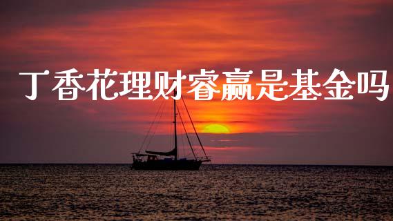 丁香花理财睿赢是基金吗_https://www.fsyjjx.cn_问财精选_第1张